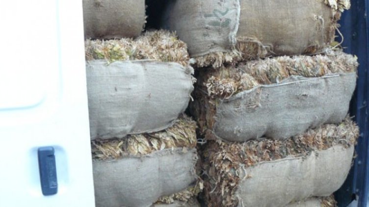 Снимка: МВР