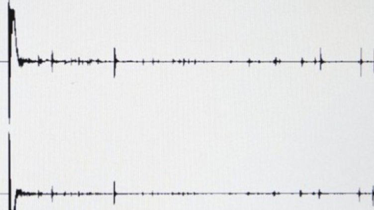 Снимка: Getty Images/Guliver Photos