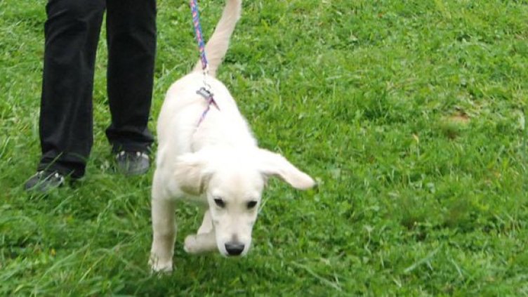 Снимка: Булфото