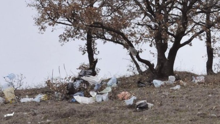 Снимка: Булфото