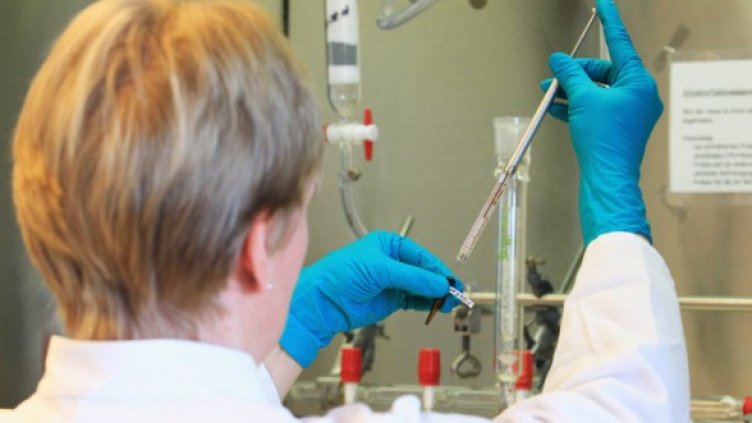 Снимка: Getty Images/Guliver Photos