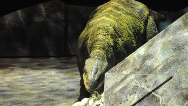 Снимка: Getty Images/Guliver Photos