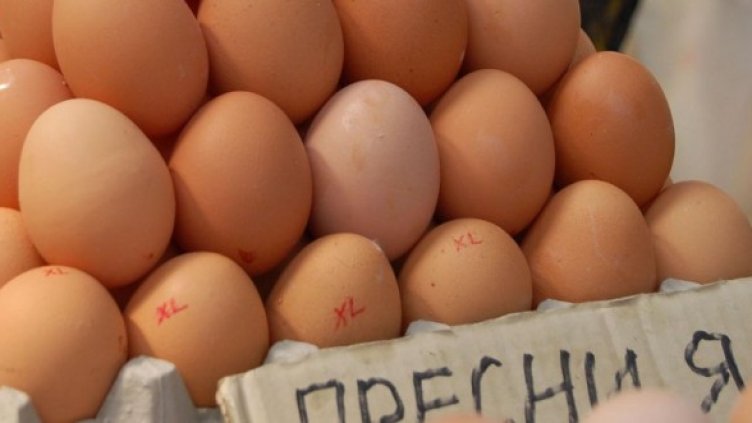 Снимка: Булфото