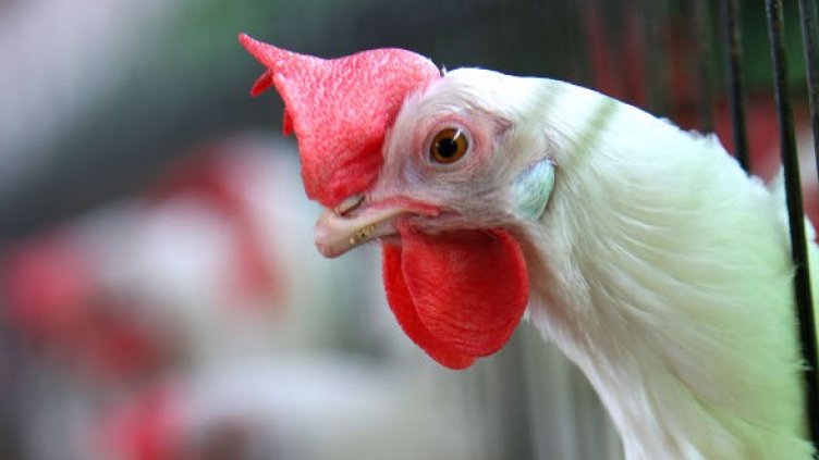 Снимка: Getty Images/Guliver Photos