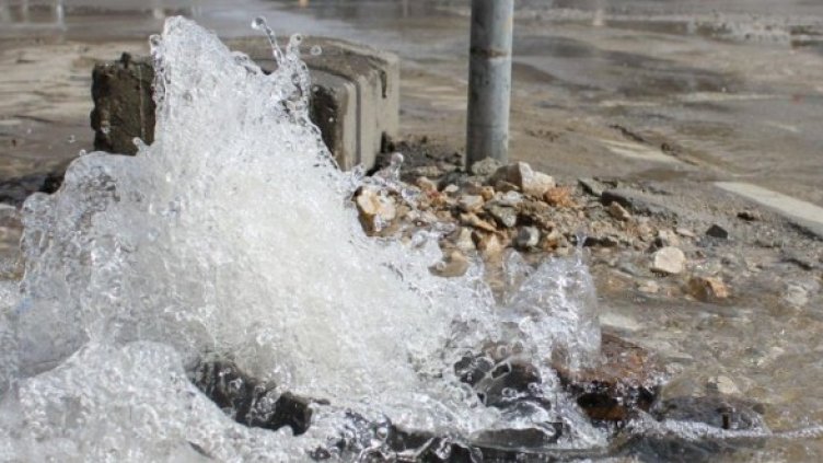 Снимка: Булфото