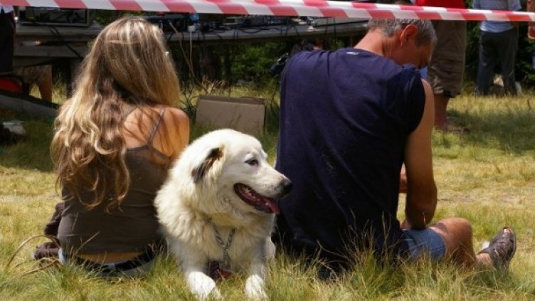 Снимка: Булфото