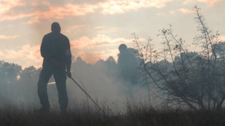 Снимка: Архив Булфото