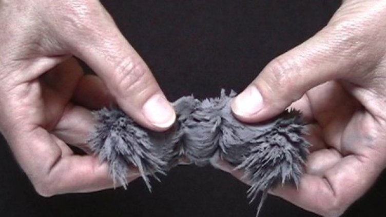 Снимки: Софийска градска художествена галерия