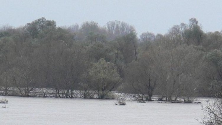 Река Марица. Снимка: Булфото