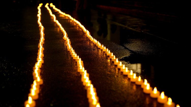 Снимка: архив, БГНЕС