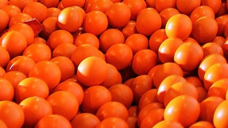 Снимка: Getty Images/Guliver Photos