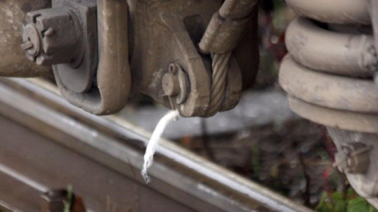 Снимка: Булфото