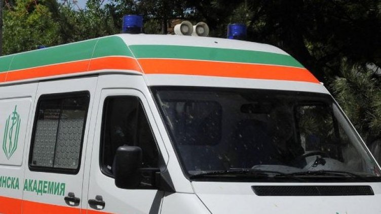 Снимка: Булфото