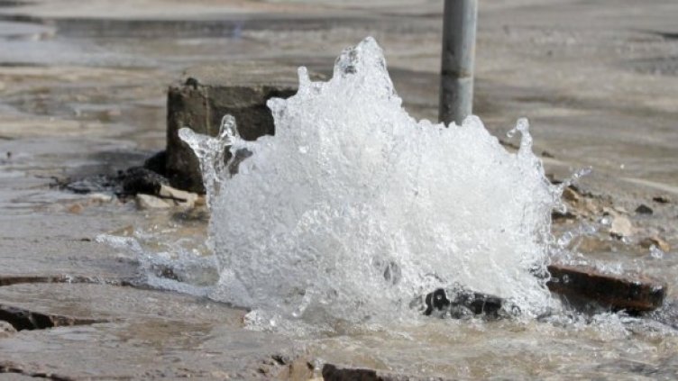 Снимка: Булфото