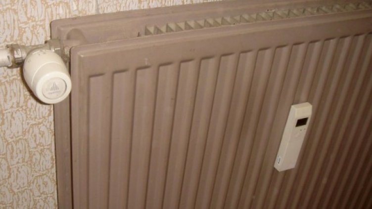 Снимка: Булфото