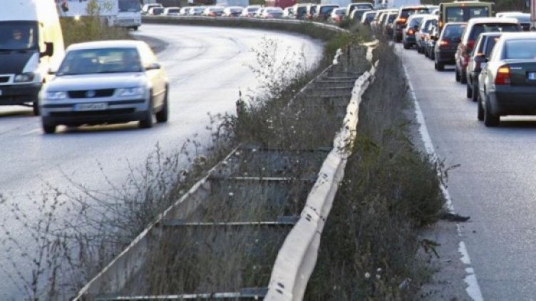 Снимка: Архив Булфото