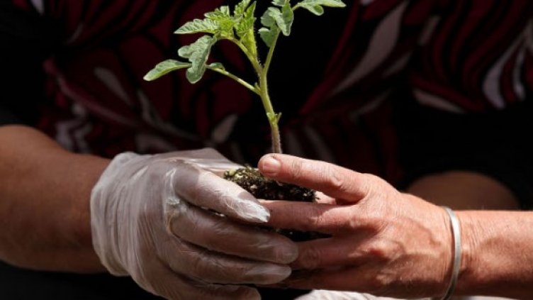 Снимка: Getty Images/Guliver Photos