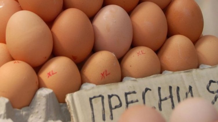 Снимка: Булфото