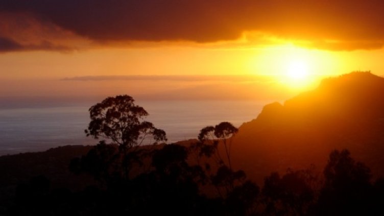 Снимка: www.sxc.hu