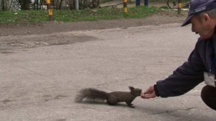 Кати, Кати. Дядото, който храни катеричките