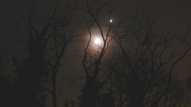 Снимка: Laurent Laveder