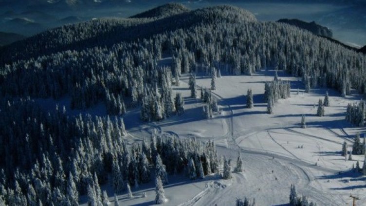 Снимка: Булфото