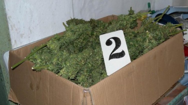 Снимка: Булфото