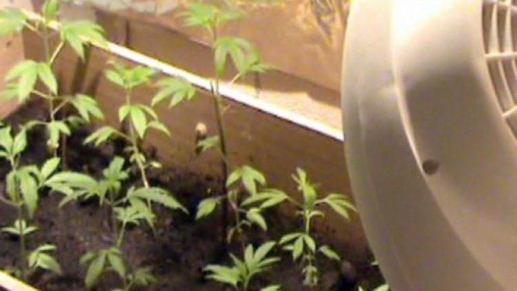 Снимка: МВР