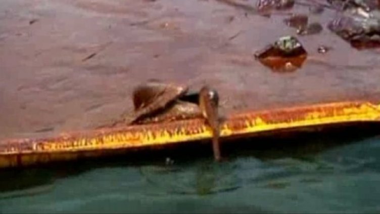 Разливът в Мексиканския залив &ndash; година по-късно