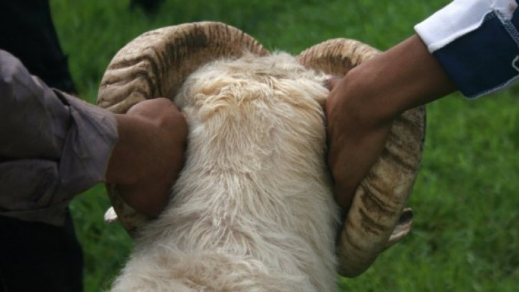 Снимка: Getty Images/Guliver Photos