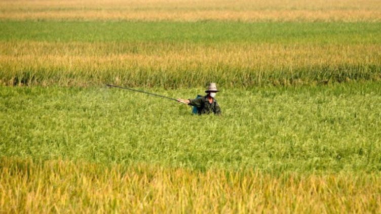 Снимка: Getty Images/Guliver Photos