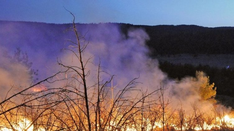 Снимка: архив Булфото