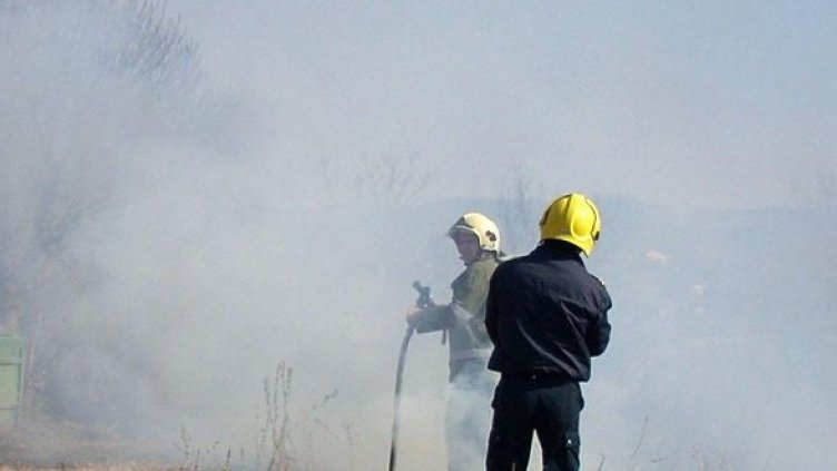 Снимка: Архив Булфото