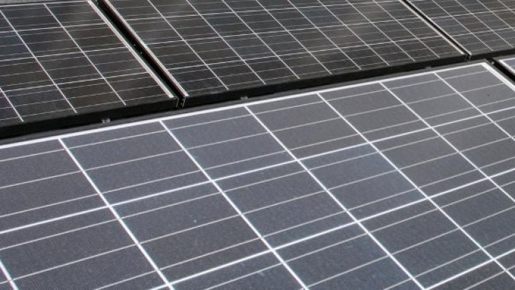 Снимка: Булфото