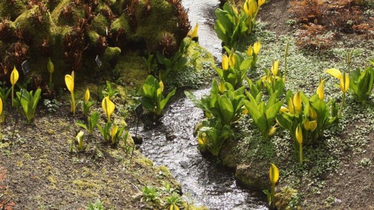 Снимка: Getty Images/Guliver Photos