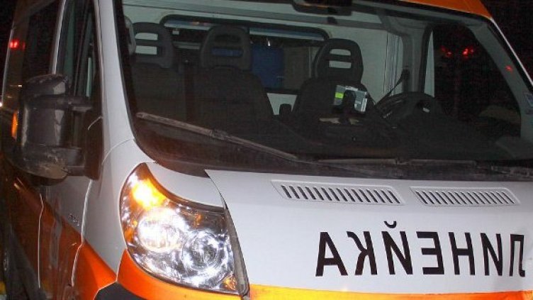 Снимка: Булфото