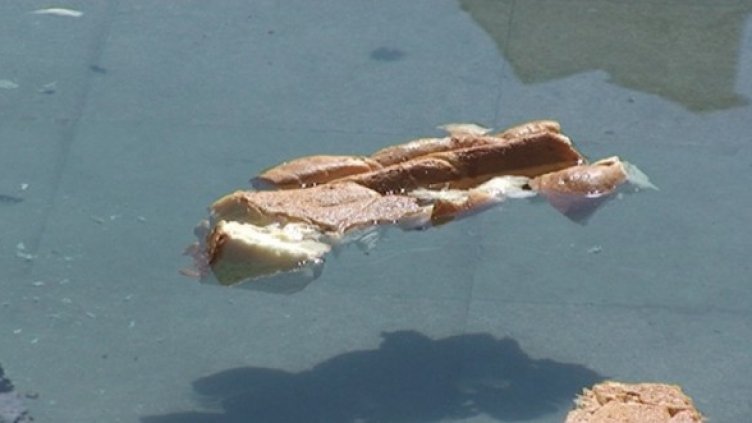 Това остана след голямото великденско ядене. Снимка: Dnes.bg