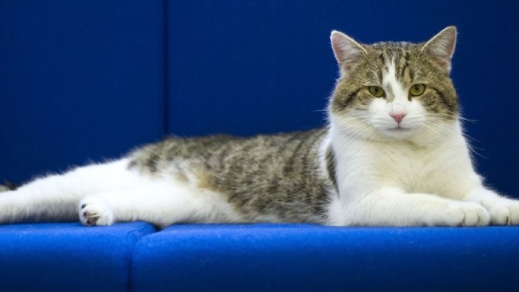 Снимка: Getty Images/Guliver Photos