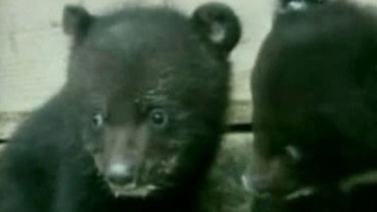 Мечета похапват ориз в китайска ферма