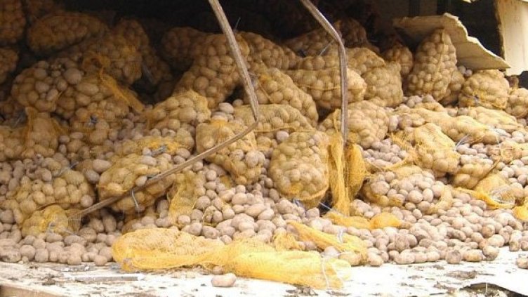 Снимка: Архив Булфото