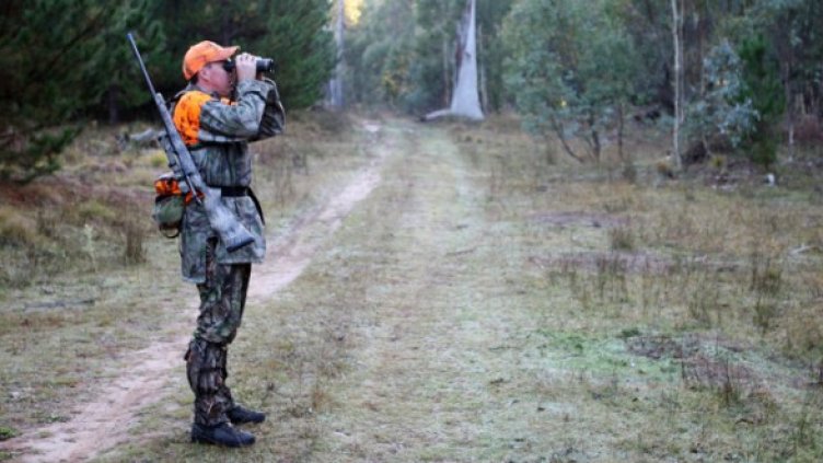 Снимка: Getty Images/Guliver Photos