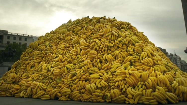 Снимка: Getty Images/Guliver Photos