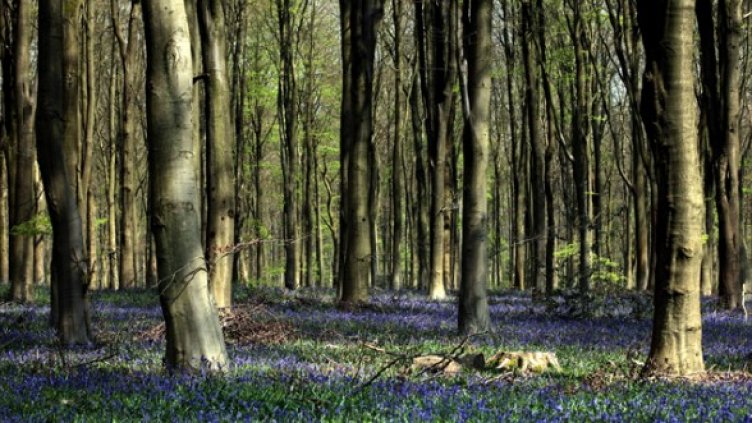 Снимка: Getty Images/Guliver Photos