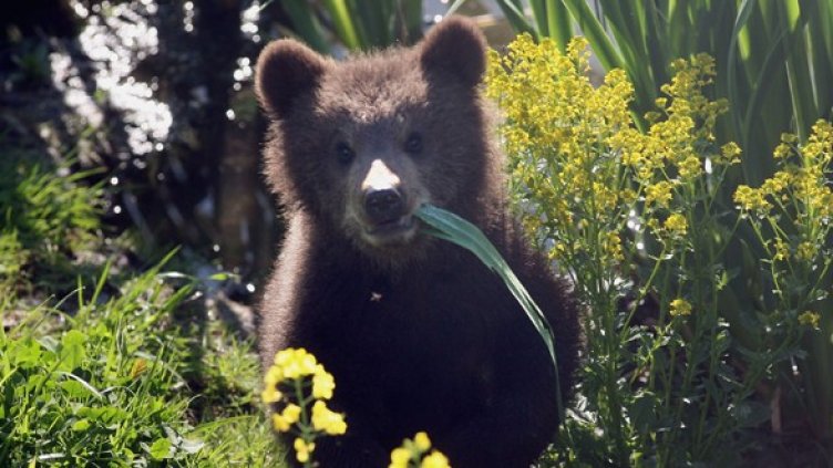 Снимка: Getty Images/Guliver Photos