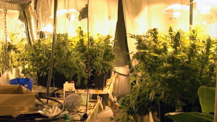 Снимка: архив МВР