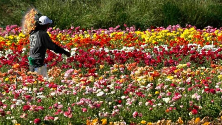 Снимка: Reuters