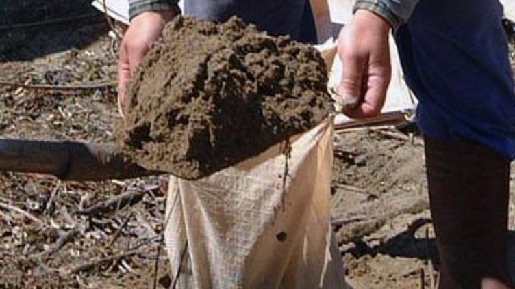 Снимка: Архив Булфото