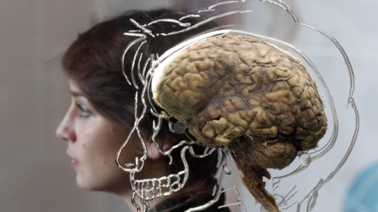 Снимка: Getty Images/Guliver Photos