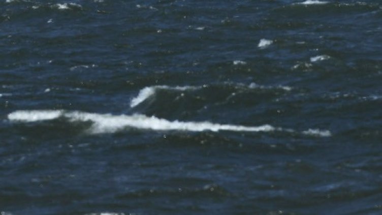 Снимка: Getty Images/Guliver Photos