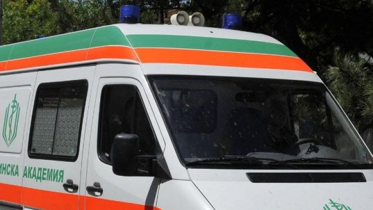 Снимка: Булфото